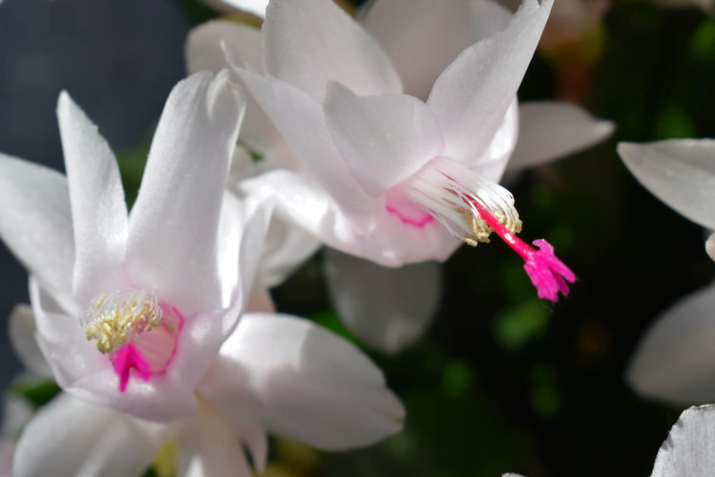 This image has an empty alt attribute; its file name is image-1024x683.png