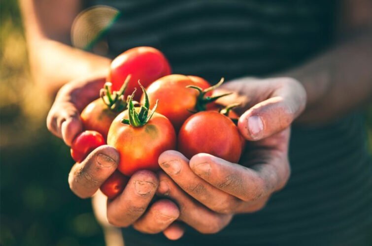 This image has an empty alt attribute; its file name is image-7-12.jpg